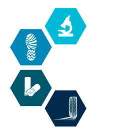 Formacion Forense